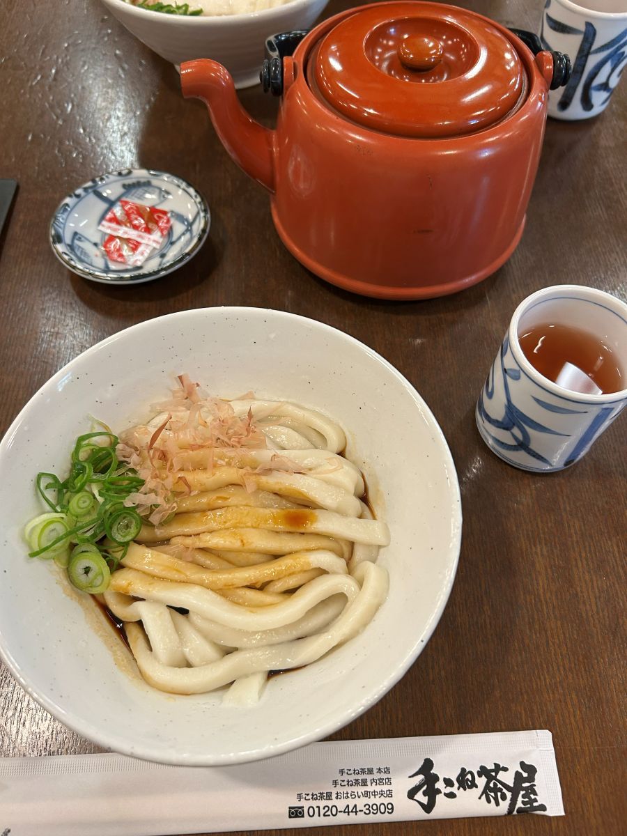 手こね茶屋の伊勢うどん。極太のやわらかい麺にたまり醤油のタレ、かつお節とねぎ(筆者撮影)